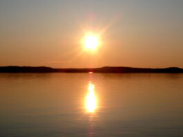sol medianoche 1
