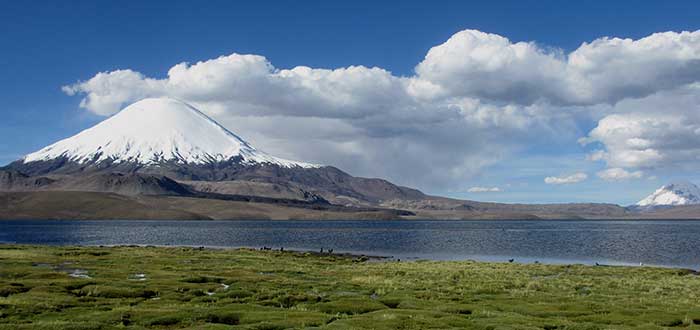 Parques nacionales de Chile - Lauca