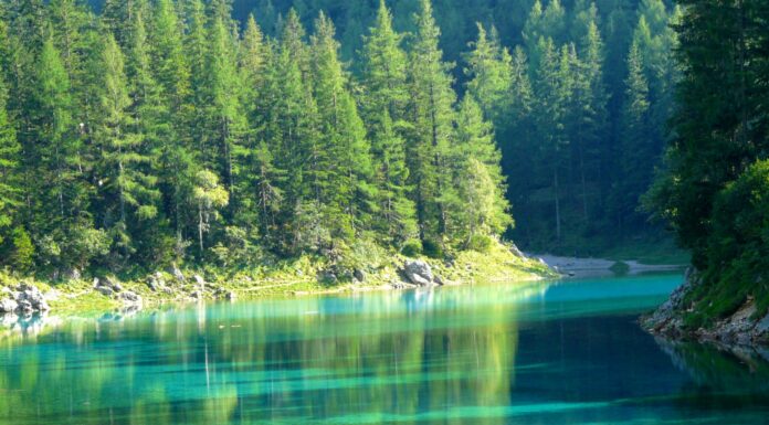 Green lake: inimaginable