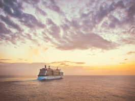 planificar un crucero