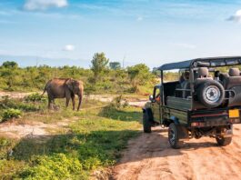 Cómo hacer un safari en Kenia