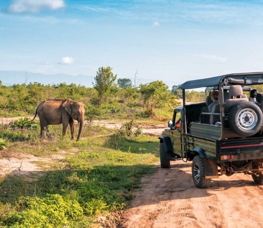 Cómo hacer un safari en Kenia