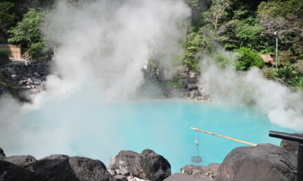 El jardín encantado de Nishinomaru, en Japón - El Viajero Feliz
