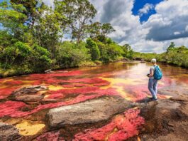 Caño Cristales | El río de los 7 colores