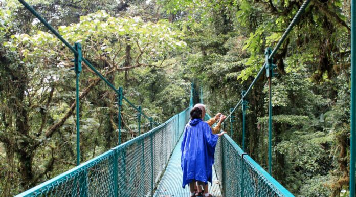 Monteverde, el paraíso natural de Costa Rica