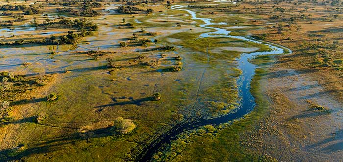 Delta del Okavango características