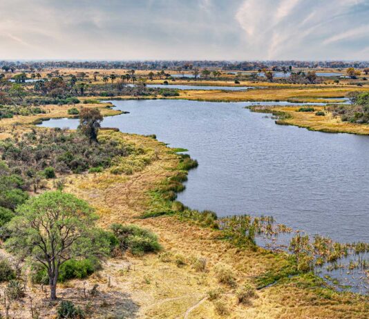 Delta del Okavango Botsuana
