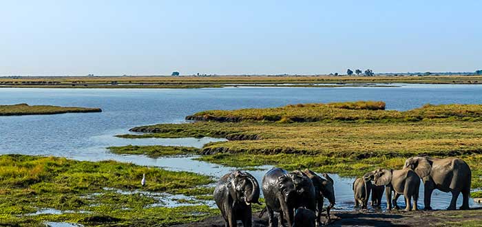 Delta del Okavango Botsuana dónde está