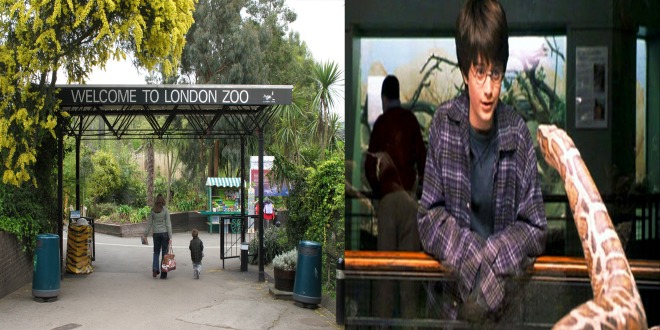 London Zoo