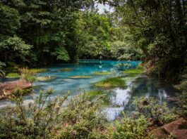 Río Celeste, un paraíso color turquesa Río-Celeste-un-paraíso-color-turquesa