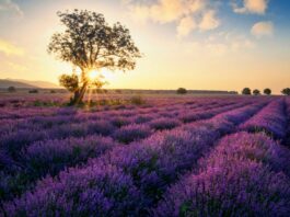 Los 20 lugares más exóticos del mundo | Destinos asombrosos