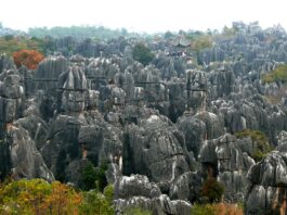 Naturaleza-pétrea-el-enigmático-bosque-de-Shilin