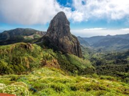Parque Nacional de Garajonay (La Gomera) | Historia, información y qué hacer