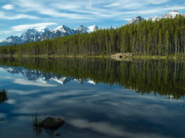 Parque Nacional Banff, paraíso montañoso Parque Nacional Banff, paisaje montañoso