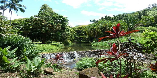 La isla Kauai es Jurassic Park