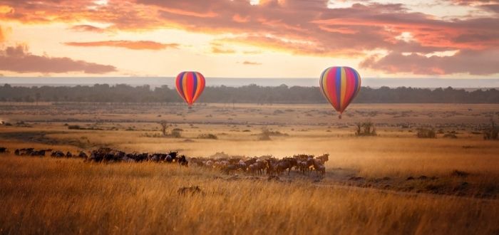 Safari en globo en Masái Mara