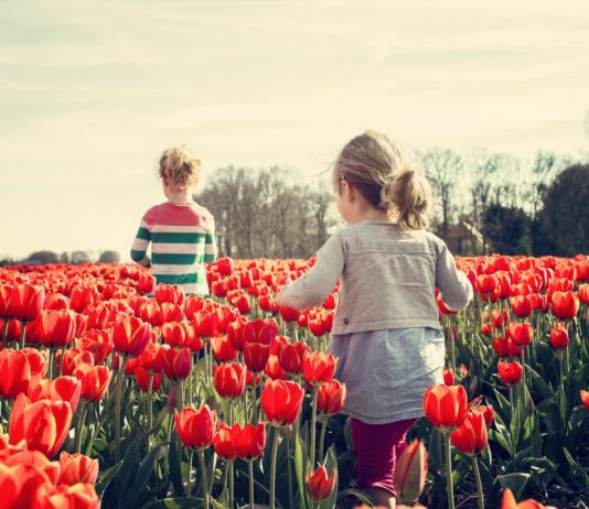 Los 3 mejores viajes de primavera