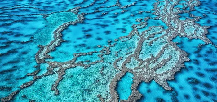 Gran Barrera de Coral - Fenómenos naturales fascinantes
