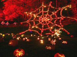 Noche de Halloween Nueva York