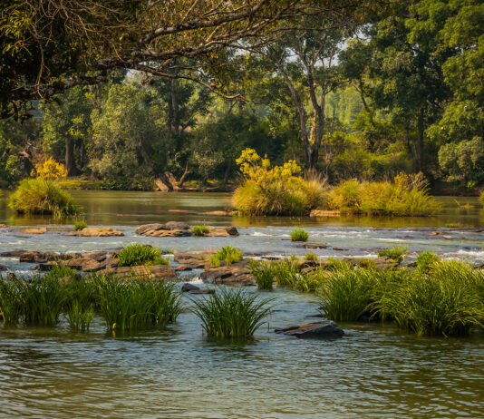 Los valles de Kodagu, maravilla india