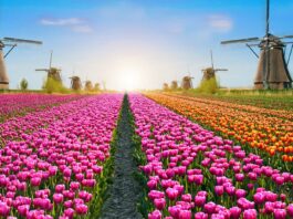 Jardines más hermosos del mundo
