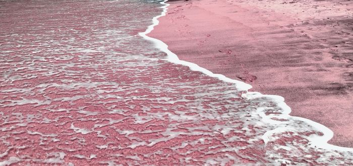 Pink Sands Beach, Bahamas | Playas de arena rosa