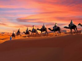 Los 10 mejores desiertos del mundo