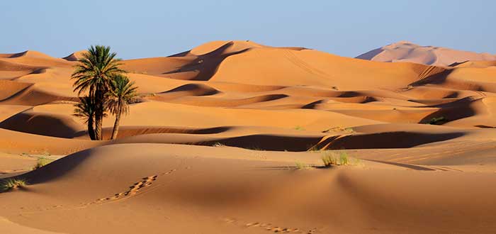 Desierto más grande del mundo - Sahara