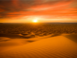 Erg Chebbi; un mar de dunas doradas