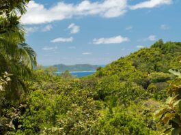 El valle de Mai, un pedazo del paraíso Valle-de-Mai-un-pedazo-del-paraiso
