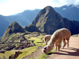camino inca al Machu Picchu
