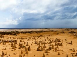 Desierto de los pináculos; una belleza escondida en Australia