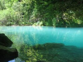 Río Urederra, el “Agua hermosa” del norte de España
