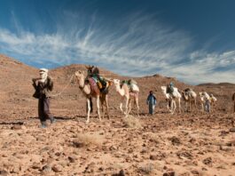 Tassili, misterio desconcertante para la humanidad