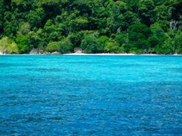 Islas Similan, el paraíso tailandés Islas Similan, el paraíso tailandés