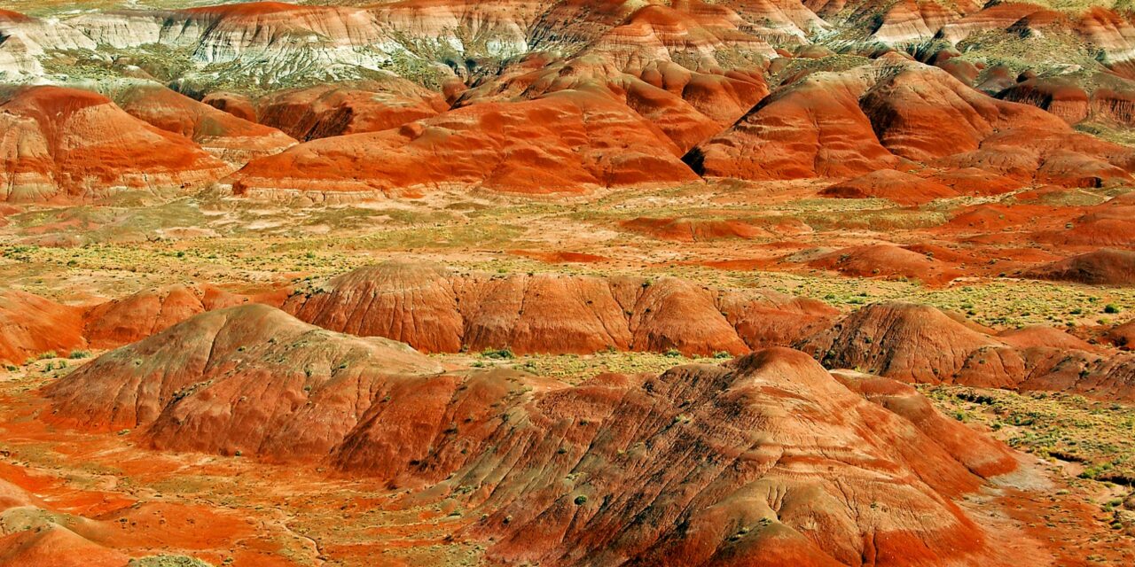 Bosque petrificado, una obra maestra natural El Viajero Feliz
