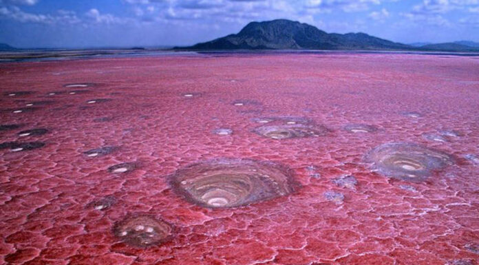 El lago de sangre de Natron, Tanzania