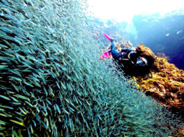Las Islas Corales en Rosario, el paraíso en la tierra Las Islas Corales en Rosario