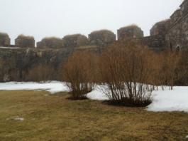 Fortaleza de Suomenlinna, túneles, cañones y mucha historia