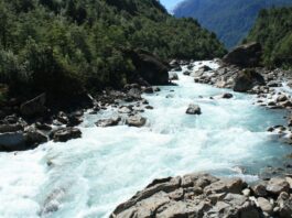 Parque Nacional Queulat, un paraíso chileno