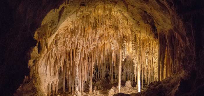 Parque Nacional de las Cavernas de Carlsbad