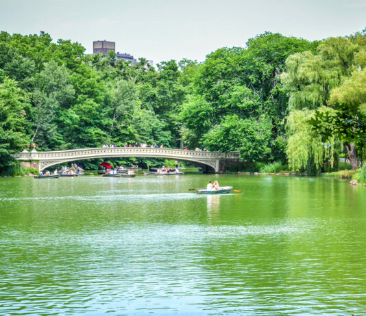 Consejos para visitar el Central Park