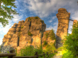 Bosque Tutónico y sus formaciones rocosas