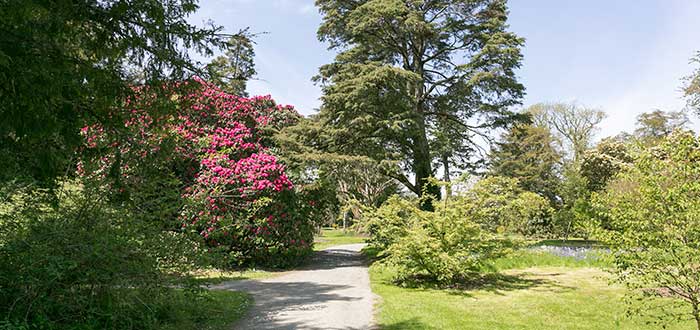 National Botanic Gardens, Kilmacurragh