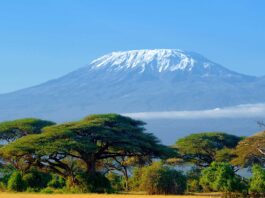 Un viaje épico al Monte Kilimanjaro