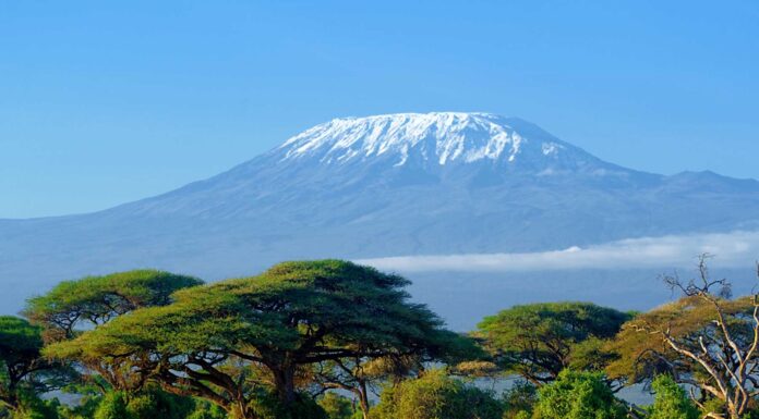 Un viaje épico al Monte Kilimanjaro