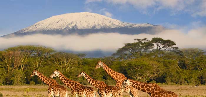 Ubicación Monte Kilimanjaro