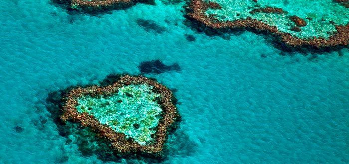 Gran Barrera de Coral, Australia, visitar de Oceanía