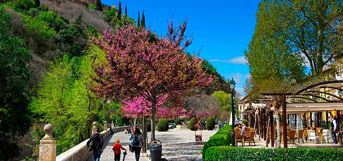 Qué ver en Granada 15 Paseo de los Tristes