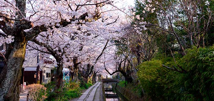 Qué ver en Kioto 7 Paseo del filósofo